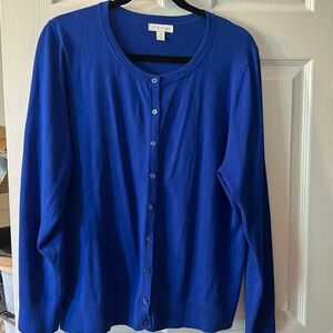Bright blue cardigan